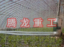 大棚花卉供暖設(shè)備、大棚卉采暖設(shè)備、大棚花卉取暖設(shè)備